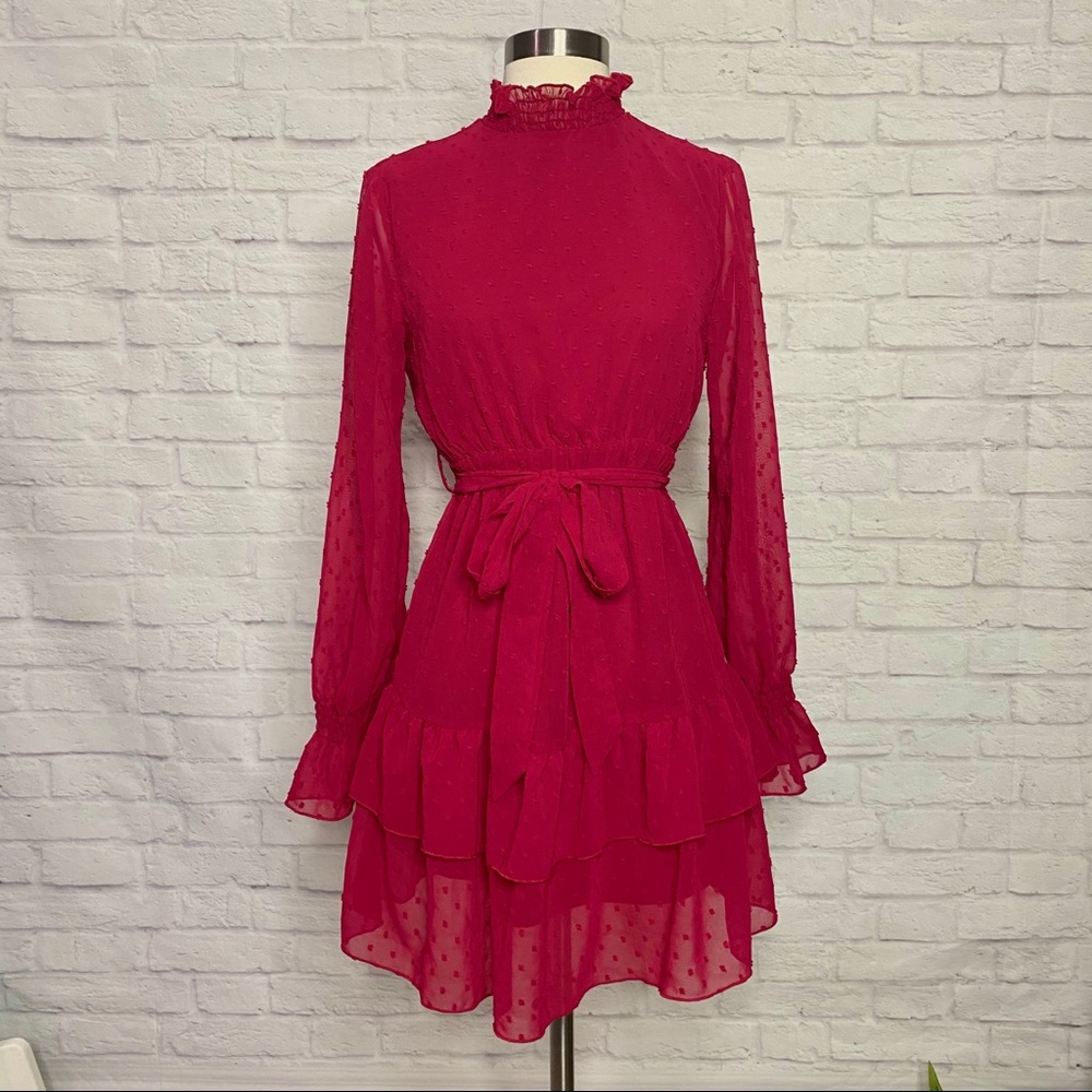 Swiss Dot Dress - image 1